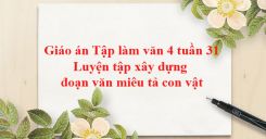 Tập làm văn: Luyện tập xây dựng đoạn văn miêu tả con vật
