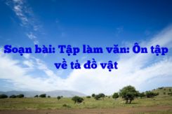 Tập làm văn: Ôn tập về tả đồ vật