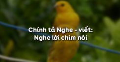 Chính tả Nghe - viết: Nghe lời chim nói