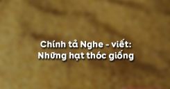 Chính tả Nghe - viết: Những hạt thóc giống