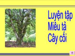 Tập làm văn: Ôn tập về tả cây cối
