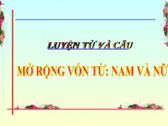 Luyện từ và câu Mở rộng vốn từ: Nam và nữ