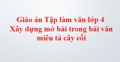 Tập làm văn: Luyện tập xây dựng mở bài trong bài văn miêu tả cây cối