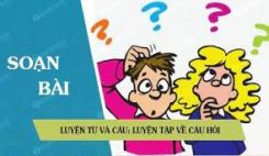 Luyện từ và câu: Luyện tập về câu hỏi