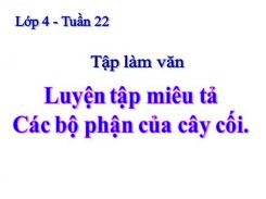 Tập làm văn: Luyện tập miêu tả các bộ phận của cây cối