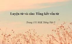 Luyện từ và câu: Tổng kết vốn từ
