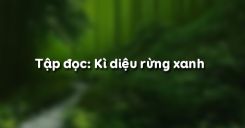Tập đọc: Kì diệu rừng xanh