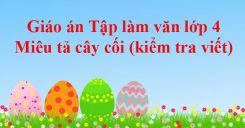 Tập làm văn: Miêu tả cây cối