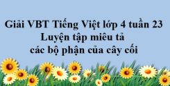 Tập làm văn: Luyện tập miêu tả các bộ phận của cây cối