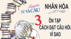 Luyện từ và câu: Nhân hóa:  Ôn tập: Cách đặt và trả lời câu hỏi Khi nào?