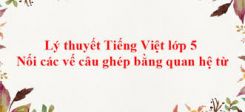 Luyện từ và câu: Nối các vế câu ghép bằng quan hệ từ