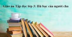 Tập đọc: Hủ bạc của người cha