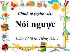 Chính tả Nghe - viết: Nói ngược