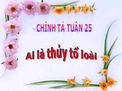Chính tả Nghe - viết: Ai là thủy tổ loài người?