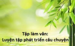 Tập làm văn: Luyện tập phát triển câu chuyện