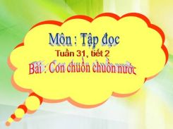 Tập đọc: Con chuồn chuồn nước
