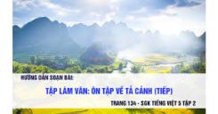 Tập làm văn: Ôn tập về tả cảnh