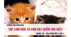 Tập làm văn: Tả con vật (Kiểm tra viết)