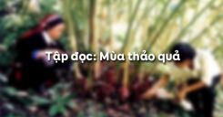 Tập đọc: Mùa thảo quả