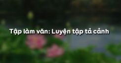 Tập làm văn: Luyện tập tả cảnh