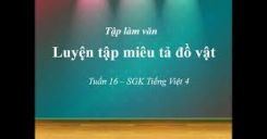 Tập làm văn: Luyện tập miêu tả đồ vật