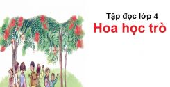 Tập đọc: Hoa học trò