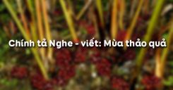 Chính tả Nghe – viết: Mùa thảo quả