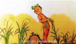 Tập làm văn Nghe - kể: Kéo cây lúa lên và Nói về thành thị, nông thôn