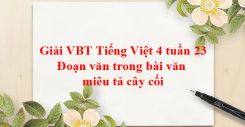 Tập làm văn: Đoạn văn trong bài văn miêu tả cây cối