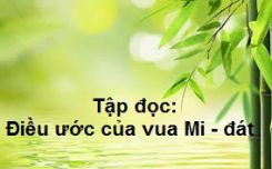 Tập đọc: Điều ước của vua Mi - đát