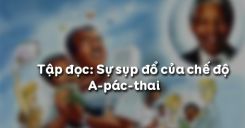 Tập đọc: Sự sụp đổ của chế độ A-pác-thai