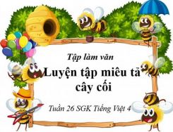 Tập làm văn: Luyện tập miêu tả cây cối