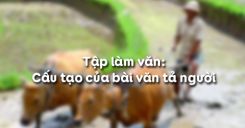 Tập làm văn: Cấu tạo của bài văn tả người