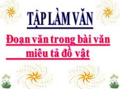 Tập làm văn: Đoạn văn trong bài văn miêu tả đồ vật