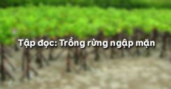 Tập đọc: Trồng rừng ngập mặn