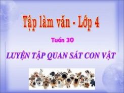 Tập làm văn: Luyện tập quan sát con vật