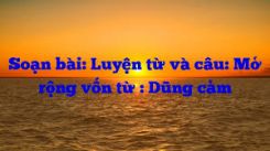 Luyện từ và câu Mở rộng vốn từ: Dũng cảm