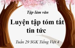 Tập làm văn: Tóm tắt tin tức