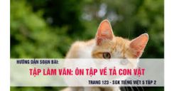 Tập làm văn: Ôn tập về tả con vật