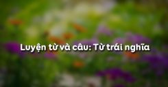 Luyện từ và câu: Từ trái nghĩa