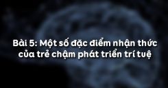 Bài 5: Một số đặc điểm nhận thức của trẻ chậm phát triển trí tuệ