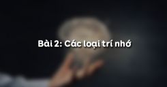 Bài 2: Các loại trí nhớ