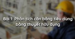 Bài 1: Phân tích cân bằng tiêu dùng bằng thuyết hữu dụng