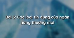 Bài 3: Các loại tín dụng của ngân hàng thương mại