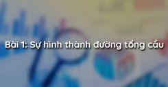 Bài 1: Sự hình thành đường tổng cầu