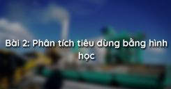 Bài 2: Phân tích tiêu dùng bằng hình học