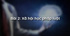Bài 2: Xã hội học pháp luật
