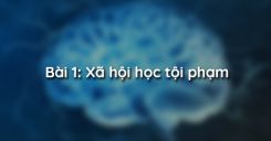Bài 1: Xã hội học tội phạm