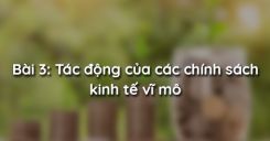 Bài 3: Tác động của các chính sách kinh tế vĩ mô