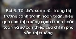 Bài 5: Tổ chức sản xuất trong thị trường cạnh tranh hoàn toàn, hiệu quả của thị trường cạnh tranh hoàn toàn và sự can thiệp của chính phủ vào thị trường